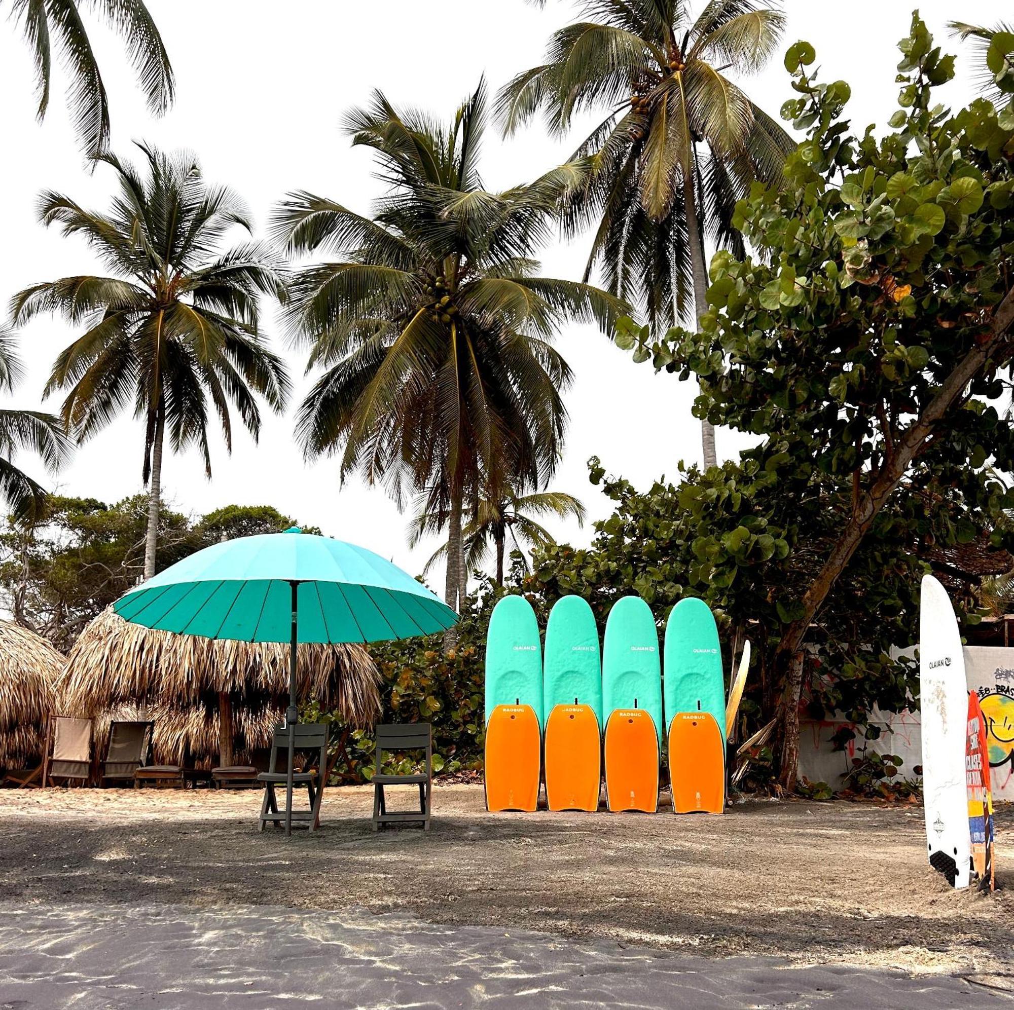 Prima Luna Palomino Exterior photo